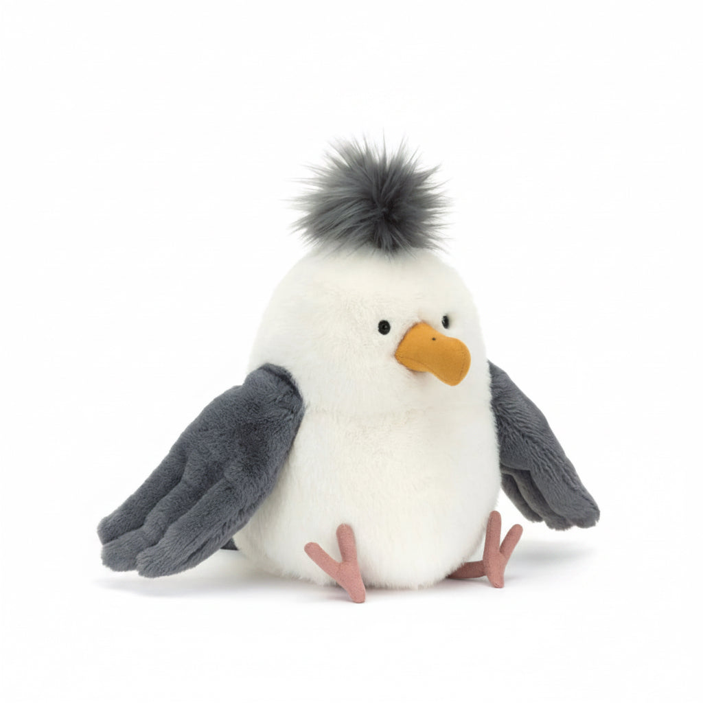 Chip Seagull