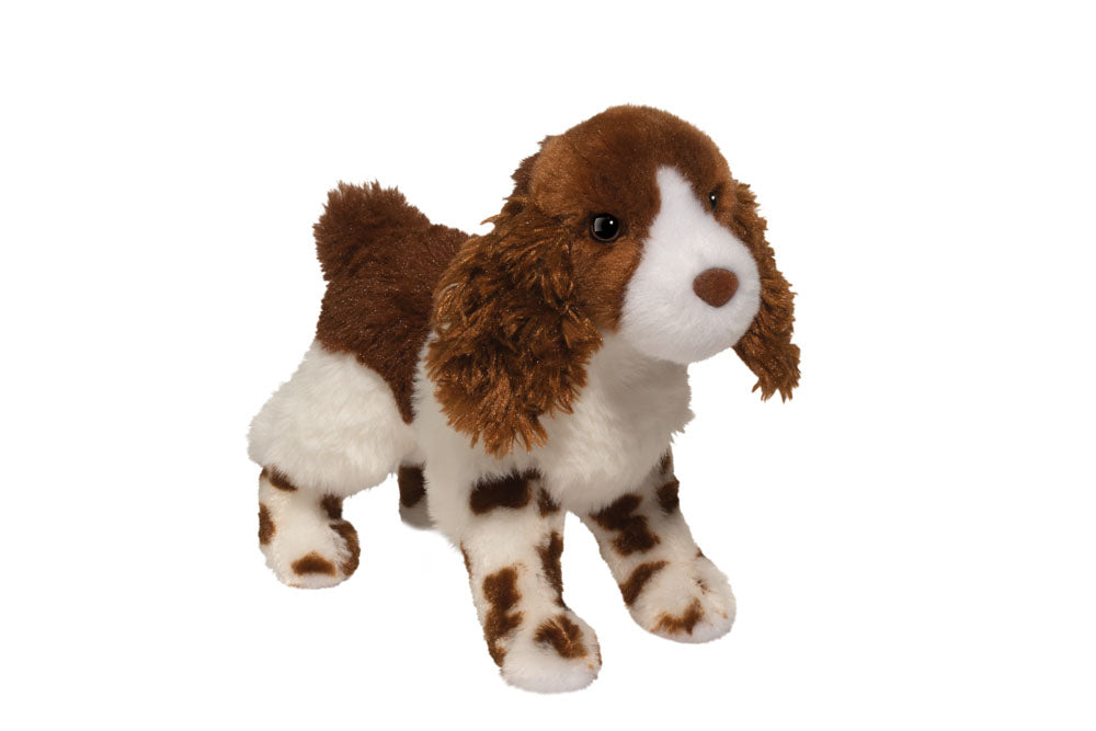Flair Springer Spaniel