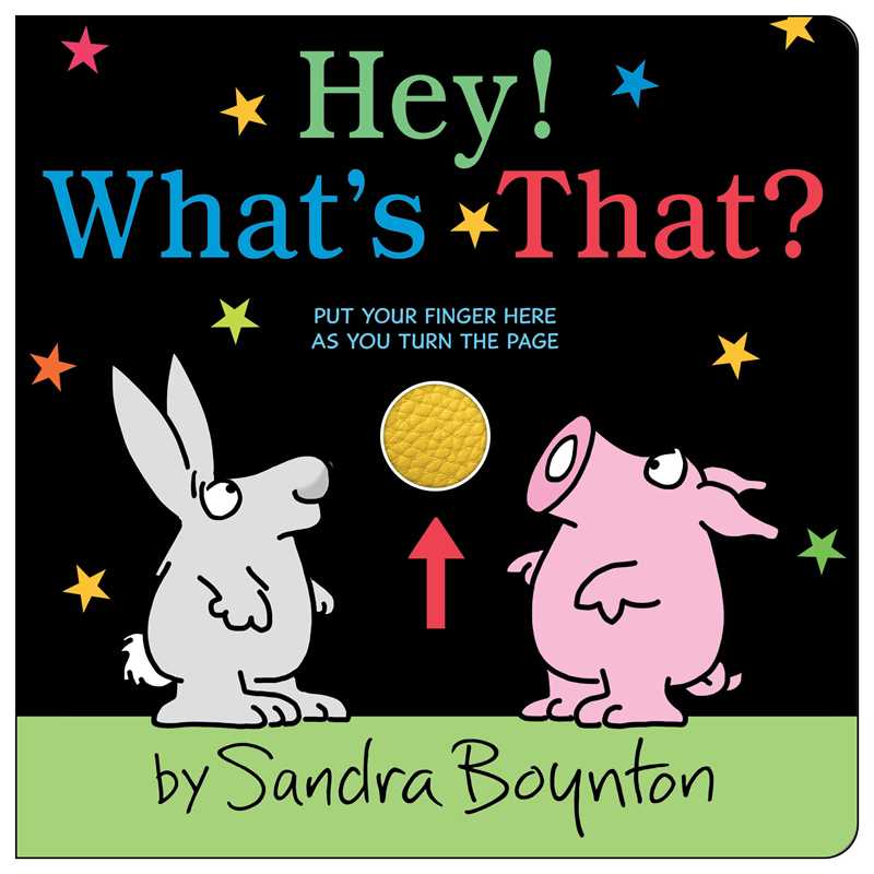 Hey! What's That? By Sandra Boynton