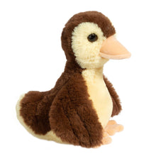 Load image into Gallery viewer, Mallorie Baby Mallard Mini Soft
