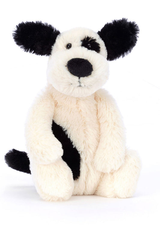 Bashful Black and White Puppy Little