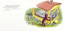 Load image into Gallery viewer, Curious George and the Bunny
