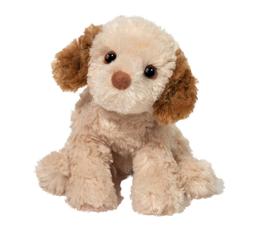 Biscuit Cavapoo