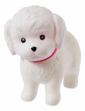 Load image into Gallery viewer, Toysmith Bitty Buddies - Impulse Toy Puppies &amp; Kitties

